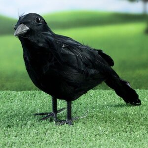 Черная садовая фигура «Ворон»