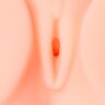 Мастурбатор-вагина без вибрации Cleo Vagina